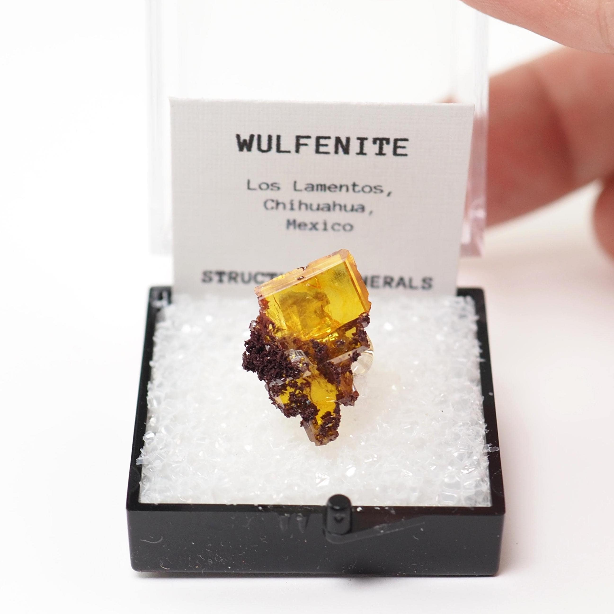 ウルフェナイト結晶（マトリックス上）鉱物標本：メキシコ産天然原石