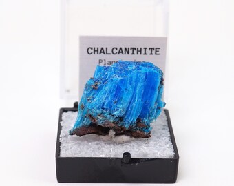 Chalcanthite natural mineral specimen from Planet mine, Arizona, USA thumbnail perky box included (TN91123-50) structure minerals