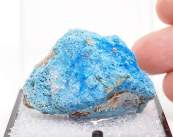 Cyanotrichite Mineral Specimen