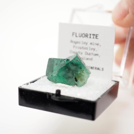 グリーンフローライト結晶 ロジャーリー鉱山、イギリス 鉱物標本