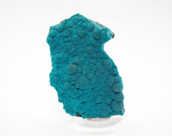 Chrysocolla crystals on matrix natural mineral specimen from Planet mine, Arizona, USA 82mm x 58mm x 26mm (F1127-3)