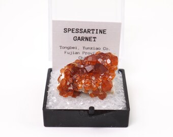 Spessartine Garnet crystals from Tongbei, China thumbnail mineral perky box natural stone (TN1030-36) structure minerals