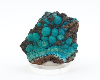 Chrysocolla crystals on matrix natural mineral specimen from Planet mine, Arizona, USA - 56mm x 48mm x 20mm (F1127-14)