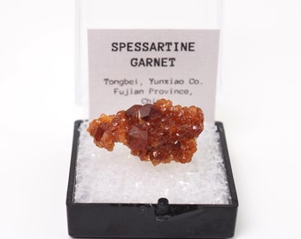 Spessartine Garnet crystals from Tongbei, China thumbnail mineral perky box natural stone (TN1030-33) structure minerals