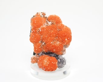 Quartz crystals on Fluorite orange natural mineral specimen from India -  (TUC24-13) structure minerals
