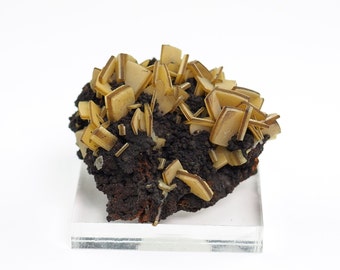 Wulfenite crystals on matrix from Ojuela mine, Mexico - 35mm x 32mm x 18mm (F96631) structure minerals