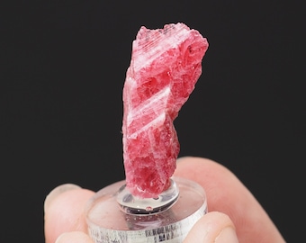 タンザニア産タンザナイト結晶原石 - 10ct / 19 mm x 9 mm x 6