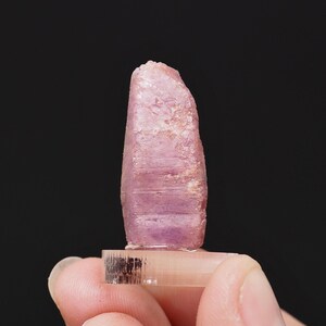 Peut inclure: Un cristal brut de kunzite rose, dressé. Le cristal a une surface rugueuse et texturée et une forme rectangulaire. Le cristal est monté sur une base rectangulaire transparente, tenue par les doigts d'une personne. Le fond est noir.