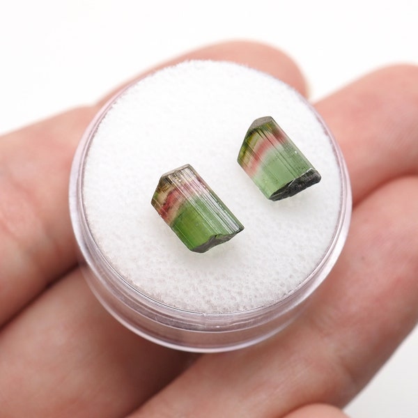 2 Tourmaline bicolor crystals pair from Republic of Congo - .8gm / 8.6-8.9mm (B12427) fire flash rough gem birthstone