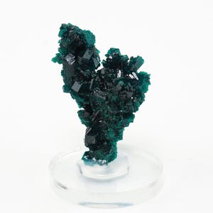 Dioptase crystal mineral specimen from Republic of the Congo - 41mm x 30mm x 15mm (F96908) structure minerals 2024