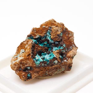 Aurichalcite crystals on matrix from Campiglia Marittima, Tuscany, Italy natural stone geology mineral specimen (F5309-15)structure minerals