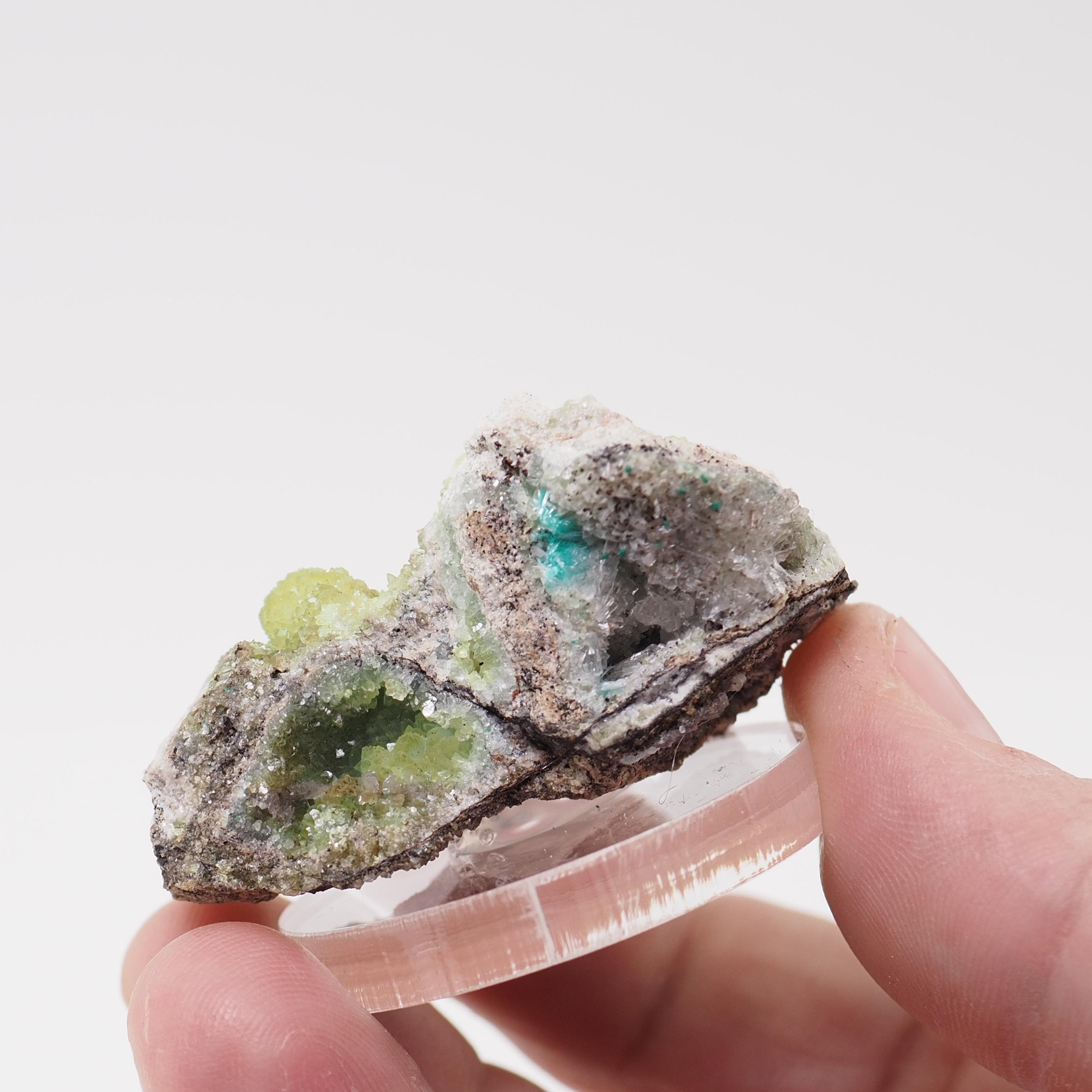 アリゾナ州79鉱山産、緑色のスミソナイト鉱物標本 - Etsy 日本