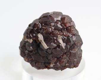 Andradite Garnet Crystal Mineral Specimen