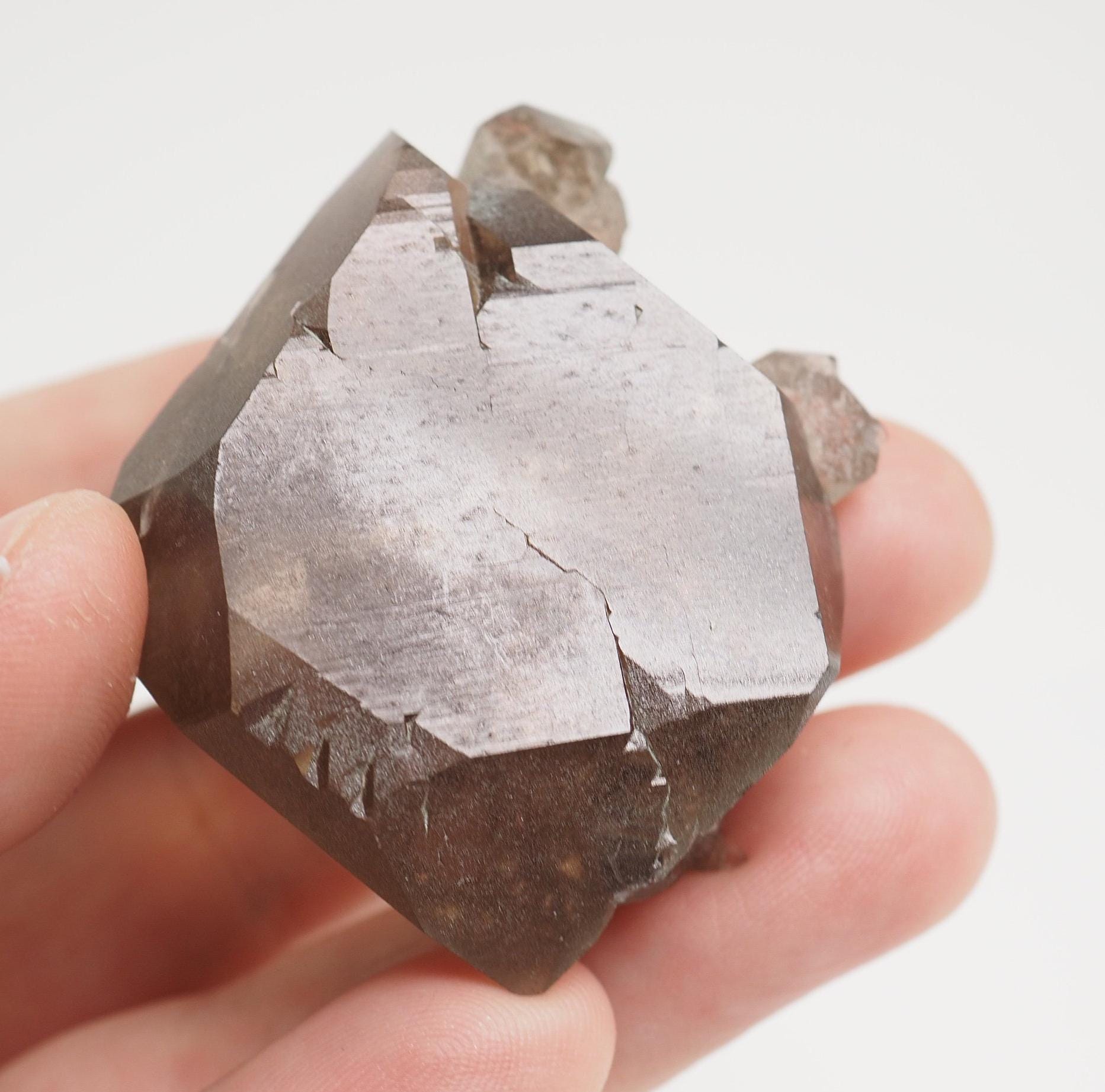 スモーキークォーツ グウィンデルクリスタル：タレフル氷河、フランス