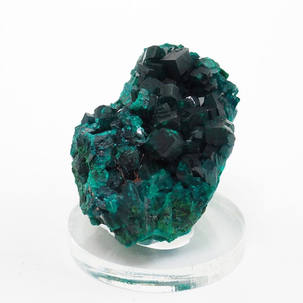 Dioptase crystal mineral specimen from Republic of the Congo - 43mm x 31mm x 30mm (F96902) structure minerals 2024