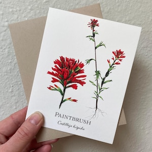 Cartão de felicitações com pincel, cartão de notas com flores silvestres com pincel indiano, papelaria floral