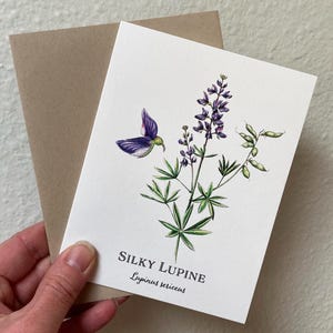 Silky Lupine Greeting Card, Wildflower Notecard, Floral Stationery