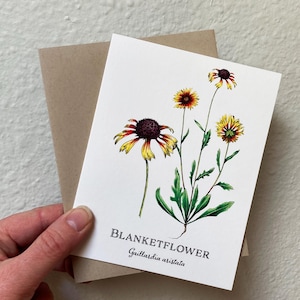 Blanketflower Greeting Card, Wildflower Notecard, Floral Stationery