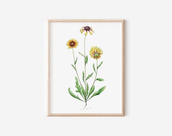 Blanketflower -Botanical Beauty: Glicee Print of Original Wall Art for Nature Lovers 11x14