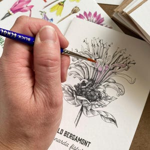 Kit de cartes de voeux aquarelle - Petite 1 carte fleurs sauvages