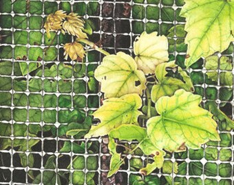 Realistic watercolor painting leaves in wire giclee print (urban decay nature painting photorealism black green citron rusty metal)