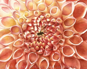 8x8 Realistic dahlia watercolor PAINTING orange flower (giclee print orange coral warm colors botanical floral decor garden nature square)