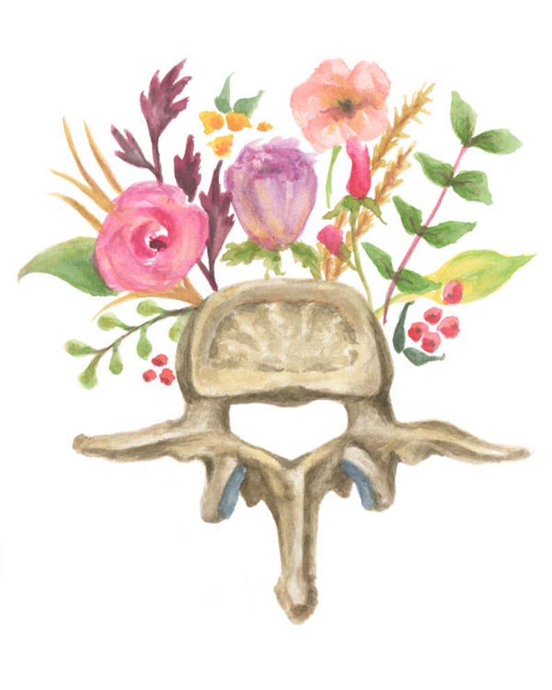 Floral vertebra orthopedic watercolor painting reproduction giclee print anatomy anatomical spinal flowers biology art medical student image 2