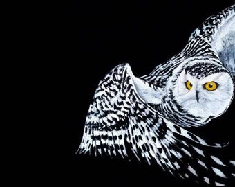 owl art etsy