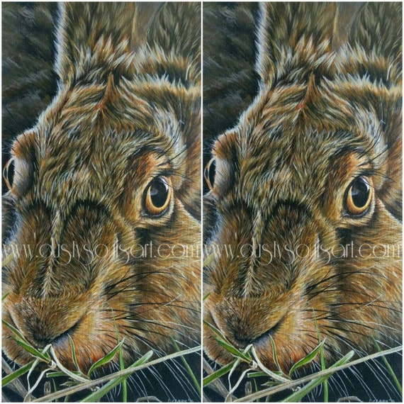 Study of Hare Samsung S10 Case