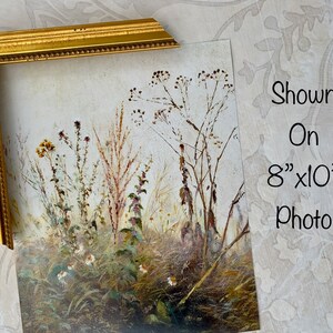 Puede incluir: Un marco de fotos dorado con un borde decorativo, que muestra una impresi&oacute;n bot&aacute;nica vintage de flores y hierbas secas. La impresi&oacute;n se muestra en una foto de 20,3 x 25,4 cm.