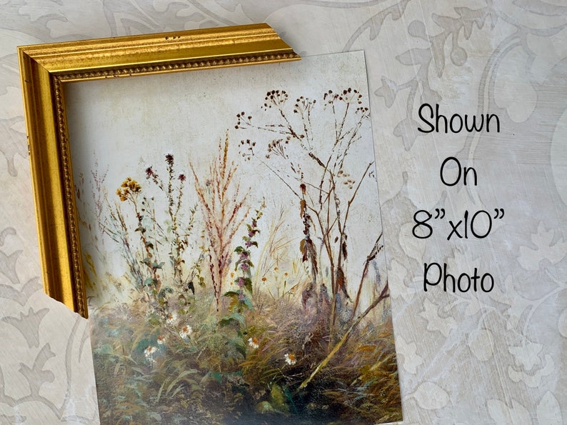 Puede incluir: Un marco de fotos dorado con un borde decorativo, que muestra una impresi&oacute;n bot&aacute;nica vintage de flores y hierbas secas. La impresi&oacute;n se muestra en una foto de 20,3 x 25,4 cm.