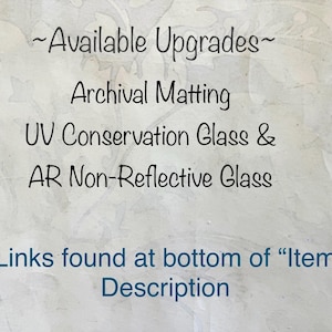 May include: Text on a light background reads "~Available Upgrades~", followed by "Archival Matting", "UV Conservation Glass &", and "AR Non-Reflective Glass". Below, it says "Links found at bottom of 'Item Description'".