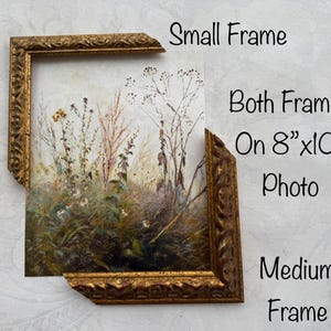 May include: A partially framed landscape print with a gold-colored ornate frame. The artwork features a field of tall grasses and wildflowers in muted tones. The text on the image reads "Small Frame", "Both Frames On 8"x10" Photo", and "Medium Frame".