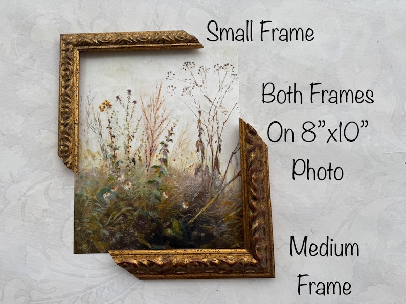 May include: A partially framed landscape print with a gold-colored ornate frame. The artwork features a field of tall grasses and wildflowers in muted tones. The text on the image reads "Small Frame", "Both Frames On 8"x10" Photo", and "Medium Frame".