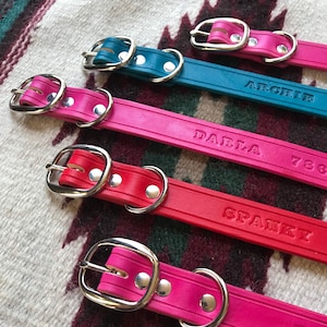 Leather Dog Collar - 1&quot; inch width - customizable