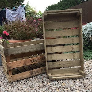 3 x CHITTING VEGETABLE TRAYS - Vintage Antique Rustic Wood Farm Tray Apple Crate Potato Bushel Box