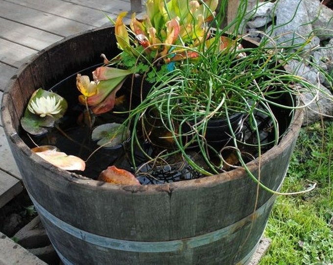 WATERTIGHT OAK BARREL Half - Ideal for Ice Bucket / Mini Pond / Fish / Waterplants / Lilly / Water Feature
