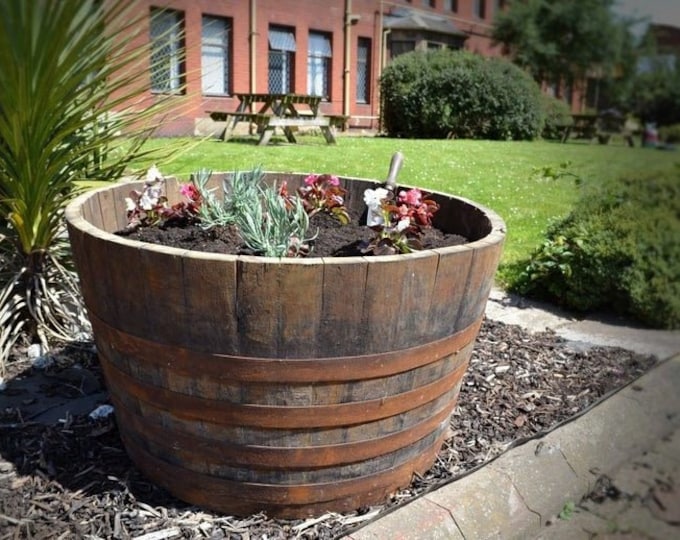 VERY LARGE HALF Whiskey Barrel Cask - Choose your quantity, Free delivery - Reclaimed Oak Cask Planters -65CM Tall x 92cm wide