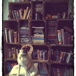 Set med 3 ÄKTA FRANSKA Trä Vintage Förvaringslåda Äpple Vinlåda Rustik Shabby Chic