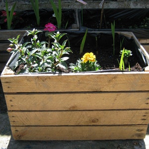 1 x PLANTER Vintage rustikale europäische hölzerne Apfelkisten, hölzerner Gartentrog-Pflanzer Veg-Bettblumen-Blumentöpfe