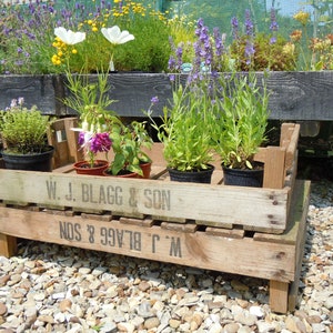 2 x CHITTING VEGETABLE TRAYS - Vintage Antique Rustic Wood Farm Tray Apple Crate Potato Bushel Box