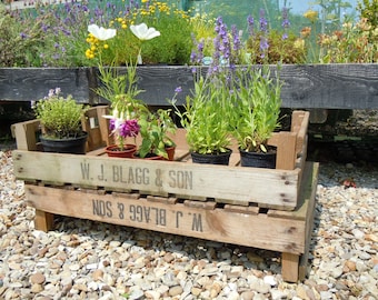 1 x CHITTING VEGETABLE TRAYS - Vintage Antique Rustic Wood Farm Tray Apple Crate Potato Bushel Box