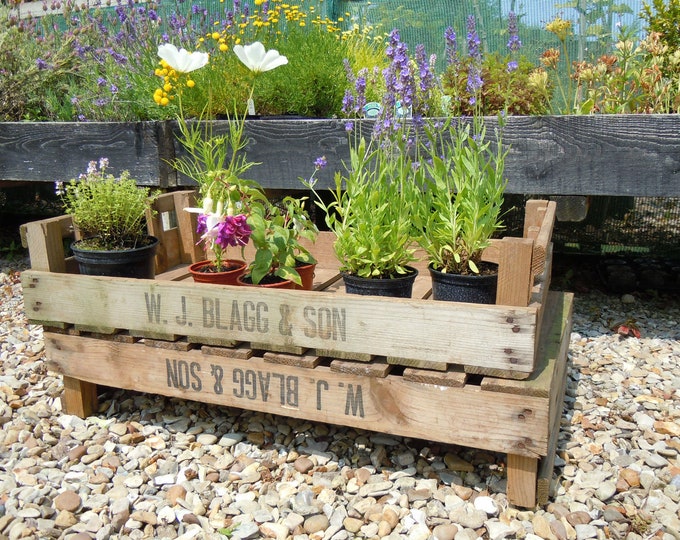 2 x CHITTING VEGETABLE TRAYS - Vintage Antique Rustic Wood Farm Tray Apple Crate Potato Bushel Box