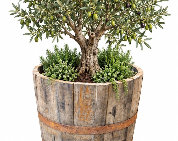 52CM TALL - Rustic Oak Barrel Planter, Large Wooden Whisky Barrel Garden Planter, Reclaimed Half Barrel Tub, Outdoor Flower & Tree