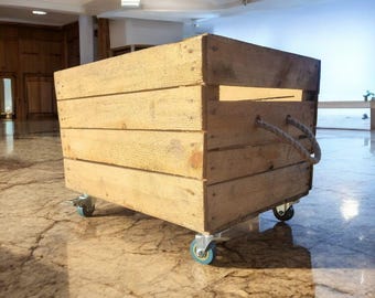Può includere: Una grande cassa di legno rettangolare con finitura naturale. La cassa è montata su quattro piccole ruote con dettagli blu. Un manico in corda è attaccato al lato. La cassa è progettata per lo stoccaggio o il trasporto.