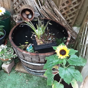 WATERTIGHT OAK BARREL Half - Ideal for Ice Bucket / Mini Pond / Fish / Waterplants / Lilly / Water Feature