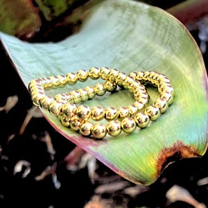 May include: Two gold beaded bracelets stacked on top of each other on a green leaf. The bracelets are made of small, round beads.