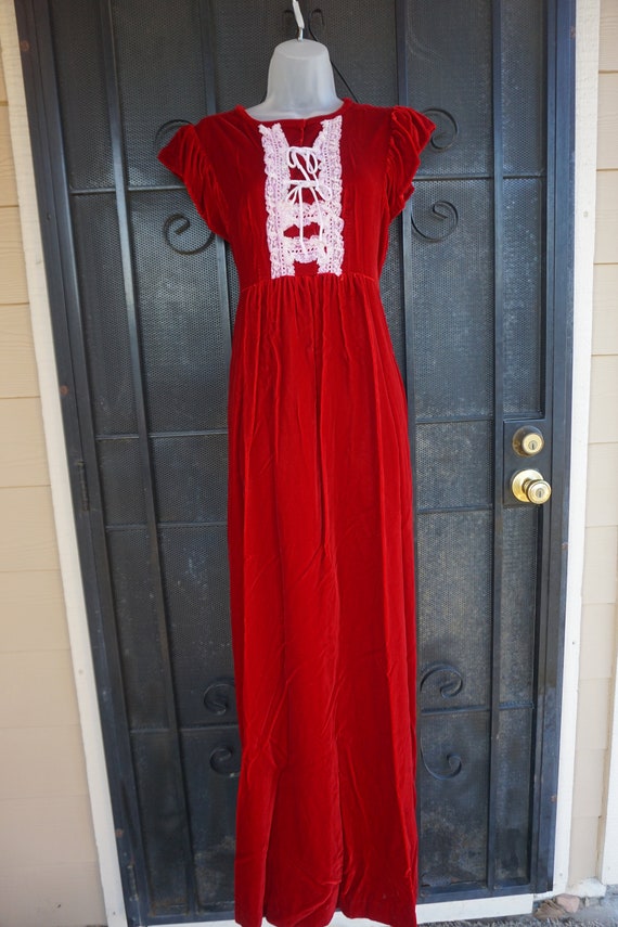 DAMAGED Velvet prairie dress maxi dress short sle… - image 3