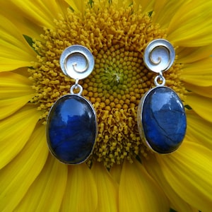 Earrings silver, gold, labradorite image 1