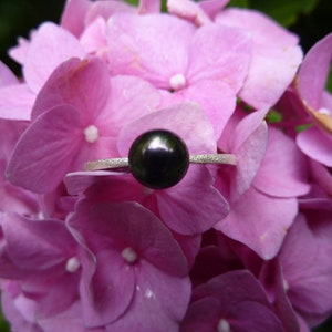 Ring silver, freshwater pearl black image 4